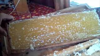 Самый лучший распечатыватель пчелиных сот "распечатка Белка"