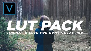 Cinematic LUTs PACK + How to | Sony Vegas Pro 10 - 15