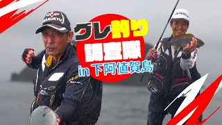 真夏の宮ノ浦釣行、下阿値賀島でイサキ祭り！？