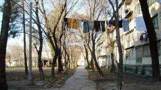 Моему любимому городу Душанбе посвещается...