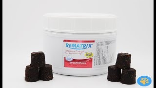 ReMATRIX® Veterinary Strength Joint Support for Dogs