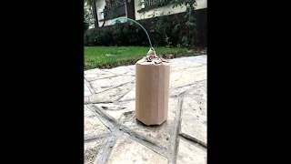 Ground Salute firework 50g