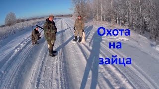 Охота на зайца.  Часть 6. (сезон 2016-2017гг.)