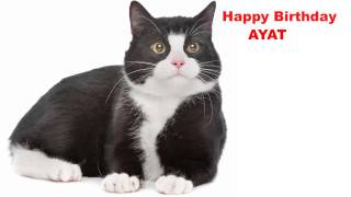 Ayat   Cats Gatos - Happy Birthday