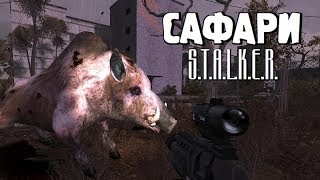 СТАЛКЕР - ОДИН из ЛУЧШИХ МОДОВ! ✸ ПУТЬ ЧЕЛОВЕКА. ВОЗВРАЩЕНИЕ ✸ 18 серия