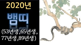 2020년 뱀띠 신년운세(53년생,65년생,77년생,89년생) 경자년황금뱀띠,푸른뱀띠,흰뱀띠,검은뱀띠,붉은뱀띠 봐드립니다 장대원사