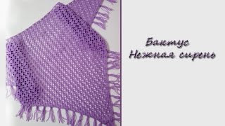 МК" Ажурный бактус" Нежная сирень". Вяжем спицами