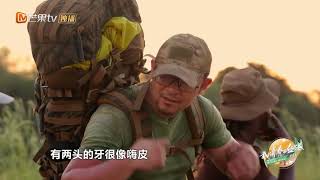 《我的青春在丝路3》第3期 完整版 津巴布韦：大象守望者 【湖南卫视官方HD】