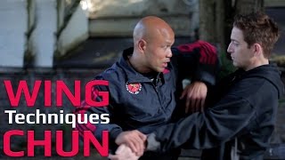 Wing Chun techniques wing chun kung fu - grab and down wards elbow