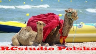 Tunezja Tunisia Tunesien Тунис الجمهورية التونسية