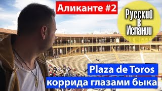 #ВДОРОГУ / АЛИКАНТЕ #2. Коррида глазами быка