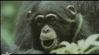 Disney Channel commercial break (September 12, 1996) (60fps) [TBC Enhanced]