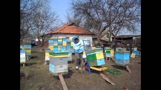 Тележка пасечная
