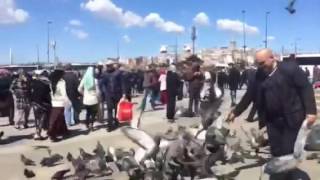 Старый Стамбул.