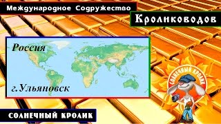 Кролики г.Ульяновск