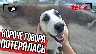 КОРОЧЕ ГОВОРЯ, МОЯ СОБАКА ПОТЕРЯЛАСЬ [От первого лица] КОРОЧЕ ГОВОРЯ, СОБАКА ДЖУЛЯ l СОБАЧКА