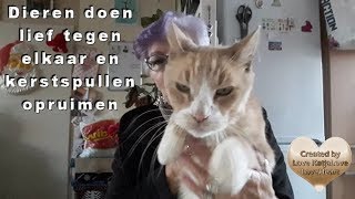 Zondag 19 januari dieren doen lief tegen elkaar en kerstspullen opruimen#654