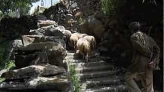 Himachal Pradesh roads and villages