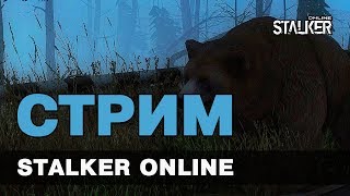 СТРИМ. Крафт, обмен, охота. Аномальная зона Stalker Online.