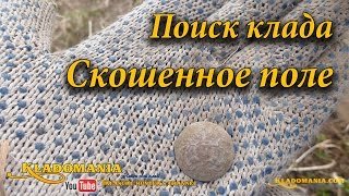 Поиск клада на скошенном поле. Поиск монет на скошенном поле