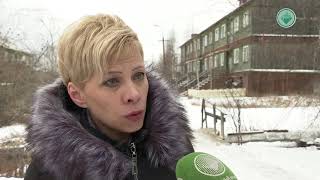 Интервью дня. Ветеринар Анна Мищенко рассказала о стерилизации и кастрации домашних животных