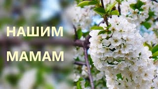 Нашим Мамам посвящается (подарок на День Матери)