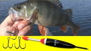 Ловля окуня на поплавочную удочку.My fishing.