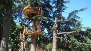 Construire une cabane dans les arbres - vidéo Sur un arbre perché