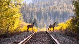 Одна из лучших песен о России