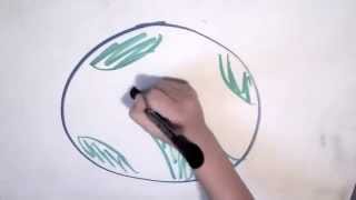 GATT and WTO - Social Studies