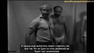 Что такое заземление? Александр Лоуэн