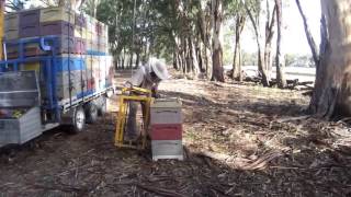 2015. Australian Honeybee. Система погрузки и разгрузки ульев