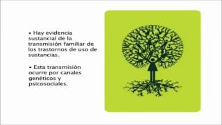 Modelos Teoricos que Explican la Adiccion