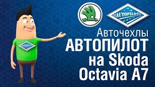 Авточехлы АВТОПИЛОТ на Шкоду Октавию А7. Чехлы для салона автомобиля АВТОПИЛОТ