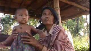 The Green Deal in Cambodia (Part 3)