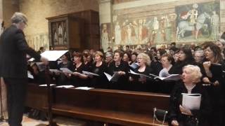 Kyrie (Dalitz) - GLORIA dalla Missa "De Angelis" (T. Zardini) (CORALI RIUNITE PER SAN ZENO)