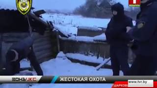 Охота без единого выстрела, но с серьезными последствиями. Зона Х