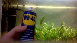 WD-40 на карася, миф? Эксперимент в аквариуме...или мотыль круче!? #1