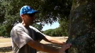 Viaggio Meditativo in Sardegna del Pranavillage.tv Menhir