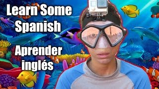 lets go snorkeling & Lets Learn Some Spanish, Aprender inglés