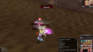 9Dragons, warrior vs nuker, CONST build
