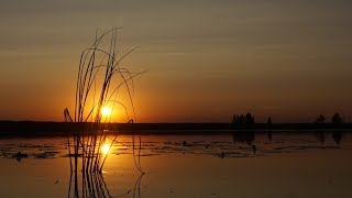 Катромское озеро, секретная избушка (август 2018)