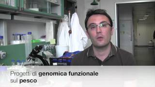 GeniaLodi 2012   - Intervista a Raul Pirona