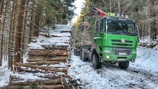 Tatra Phoenix 6x6 | Timber truck on snow | Loading timber