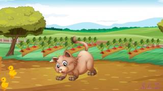 Музыкальная игра  "Кошечка и Курочки"