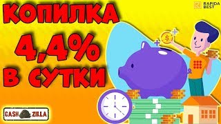 НЕ ПЛАТИТ! Rapida.best!