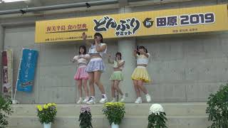 【Ｌａ花ノたみ】2019.11.9 どんぶりサミット in 田原 2019【愛知県田原市】