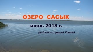 Озеро Сасык. Не верьте слухам! 1 серия.