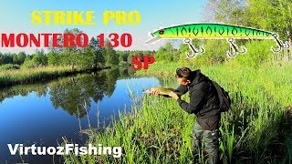 За щукой на малую речку с крупным воблером. StrikePro Montero 130 sp косит щуку!!!