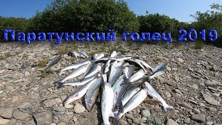 Рыбалка на Камчатке река Паратунка